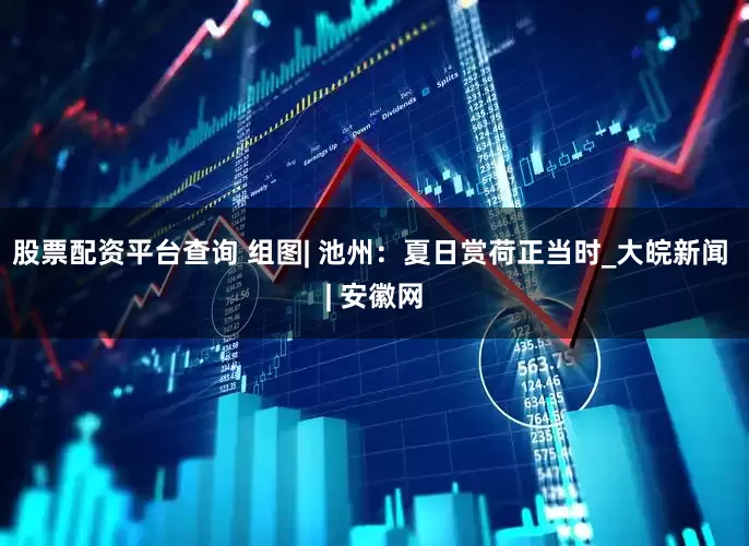 股票配资平台查询 组图| 池州：夏日赏荷正当时_大皖新闻 | 安徽网