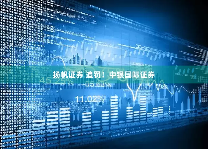 扬帆证券 追罚！中银国际证券